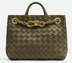 Andiamo bag by Bottega Veneta