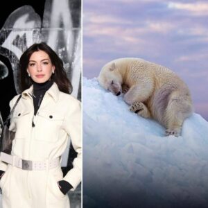 Armocromia Stagione inverno
